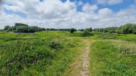 Verdwijnende natuur