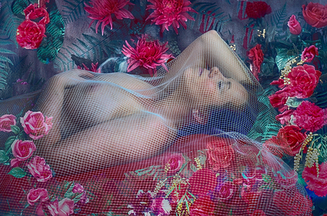 On a bed of roses