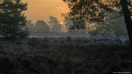 Heerlijke zonsopkomst