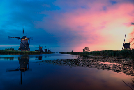 Kinderdijk in de morgen