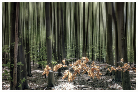 Herfst in de lente.
