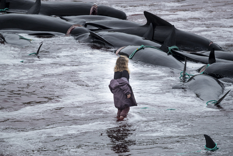 The youth has the future