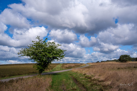 Nationaal Park