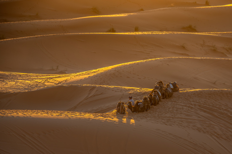 Zonnestralen in de Sahara