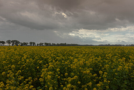 regen in aantocht