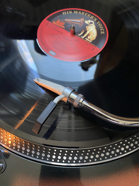 Huis masters voice