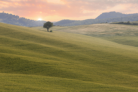 Toscane