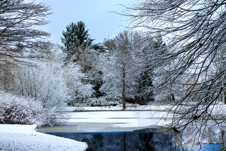 Prachtig winter in het park