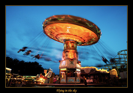 Flying in the sky