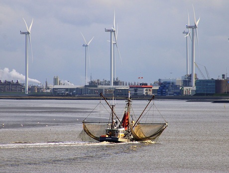 Op naar.............