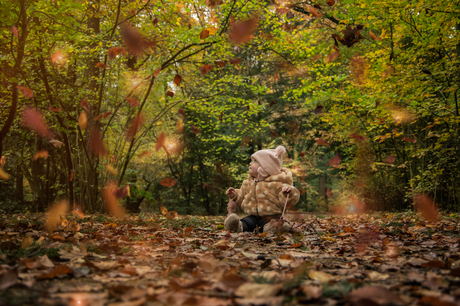 Genieten in de herfst