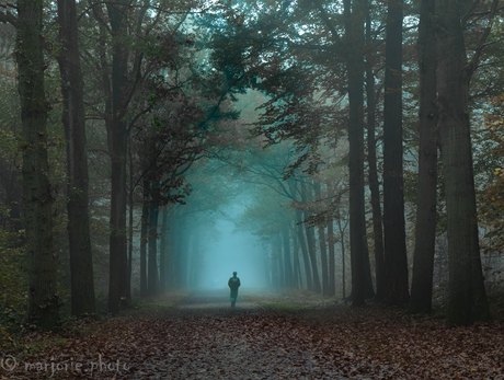 Misty Morning