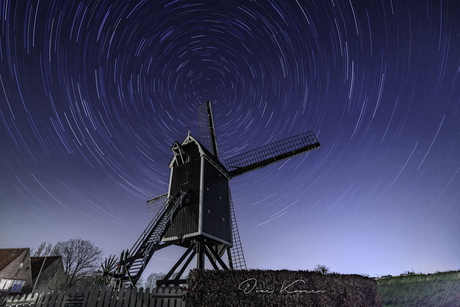 Korenmolen 't Vliegend Hert in Brielle