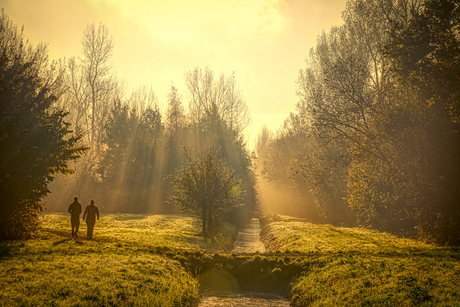 Wandelen in de herfst