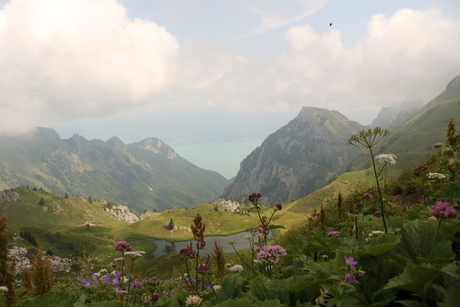 Col de Bise