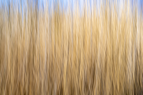 Abstract.ICM