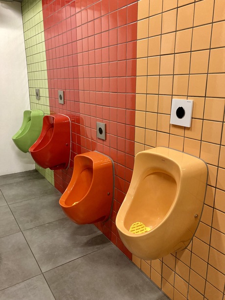 multicolor toilet