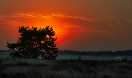 Avondrood