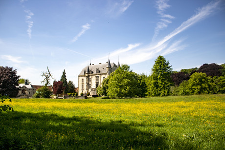 Kasteel Schaloen