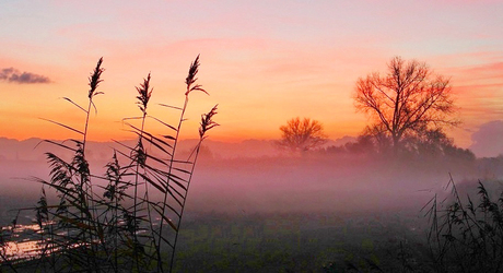 Nevelig polderlandschap bij zonsondergang