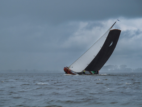 Regen en harde wind