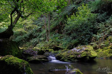 Riviertje bij Robertville