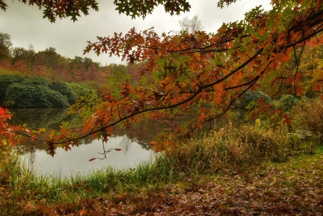 Herfstkleuren