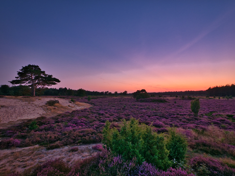 Echtens Paradijs