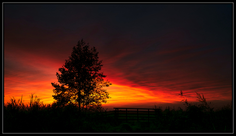 Blood red sky