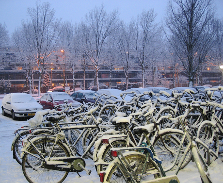 Sneeuwpret