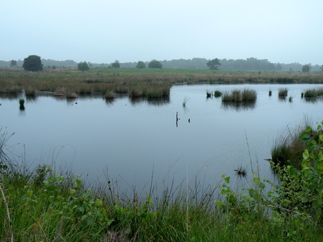 Tijdens de ochtend wandeling