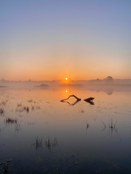 Zonsopkomst aan het water