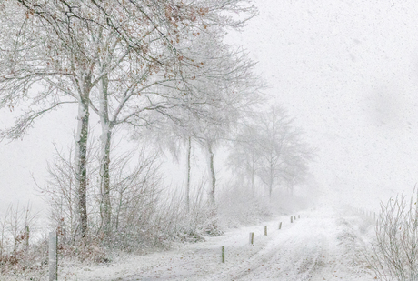 Sneeuwdag in Limburg