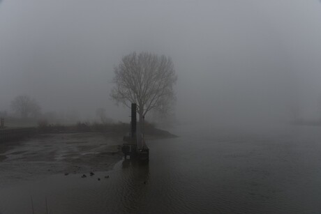 Mist bij haven Mook
