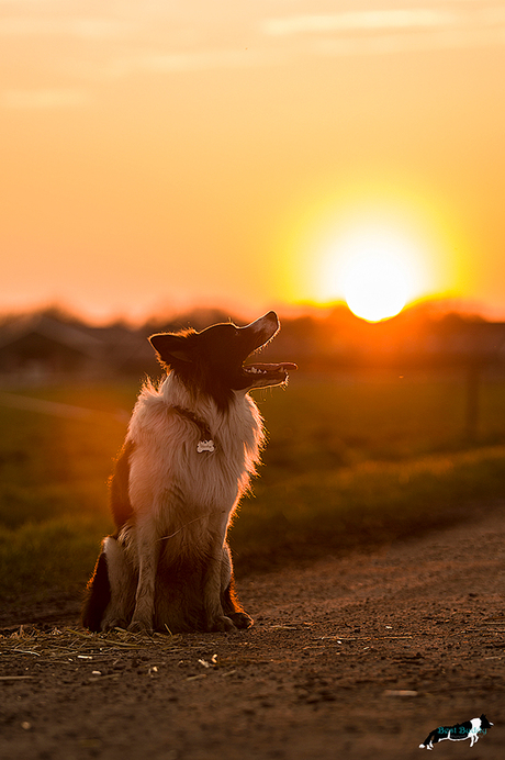 Zonsondergang