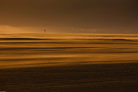 Zandmotor als woestijn voor de kust