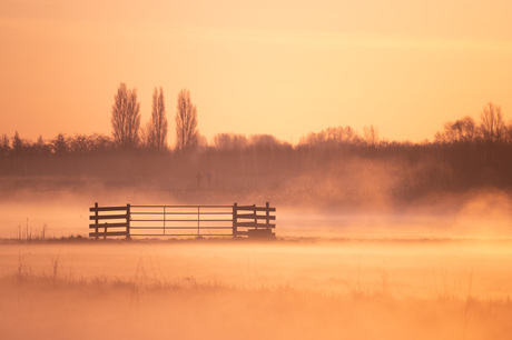 Gouden mist momentje