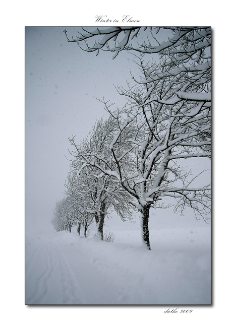 Winter in Elmen 9