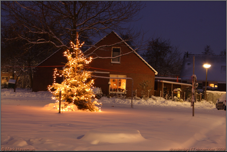 Kerstboom