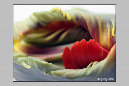 +++ - - - foto door marjen op 21-03-2010