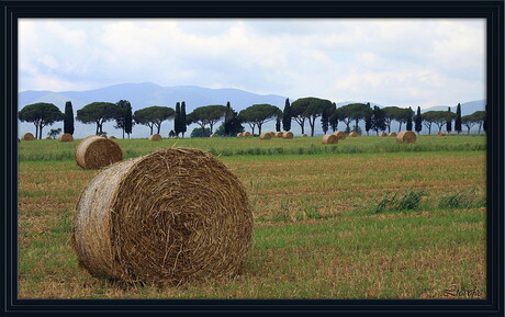 Toscana