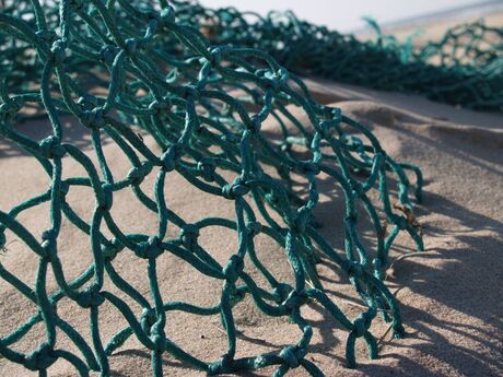 Net op het strand