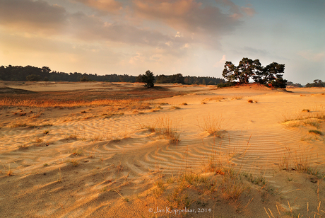 Kootwijkerzand