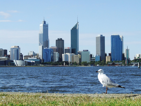 Skyline Perth - Swan river