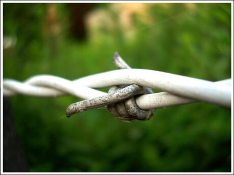 Barbed wire.