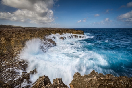 Bonaire!