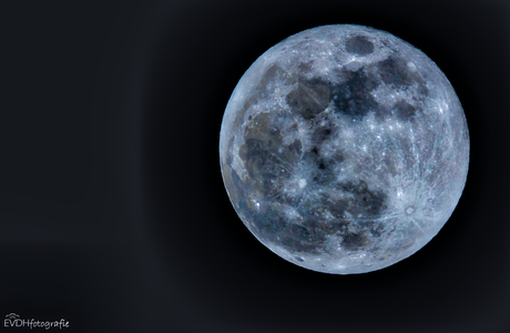 BlueMoon 31-01-2018