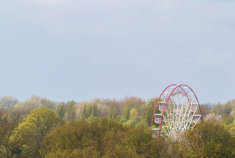 Stadspark Groningen