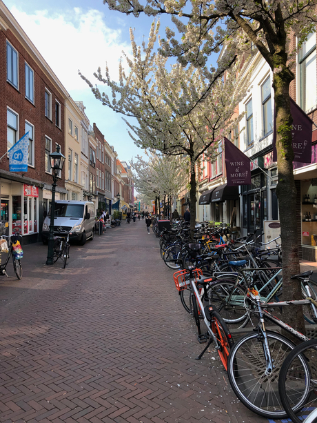 Delft, summer in the City....