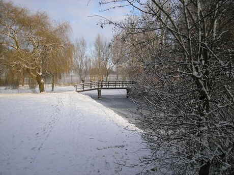 mooi wit winter